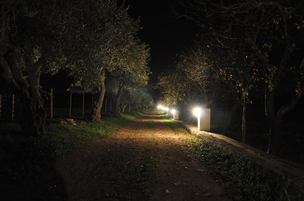 Вилла Quinta Da Sardinha Элваш Экстерьер фото