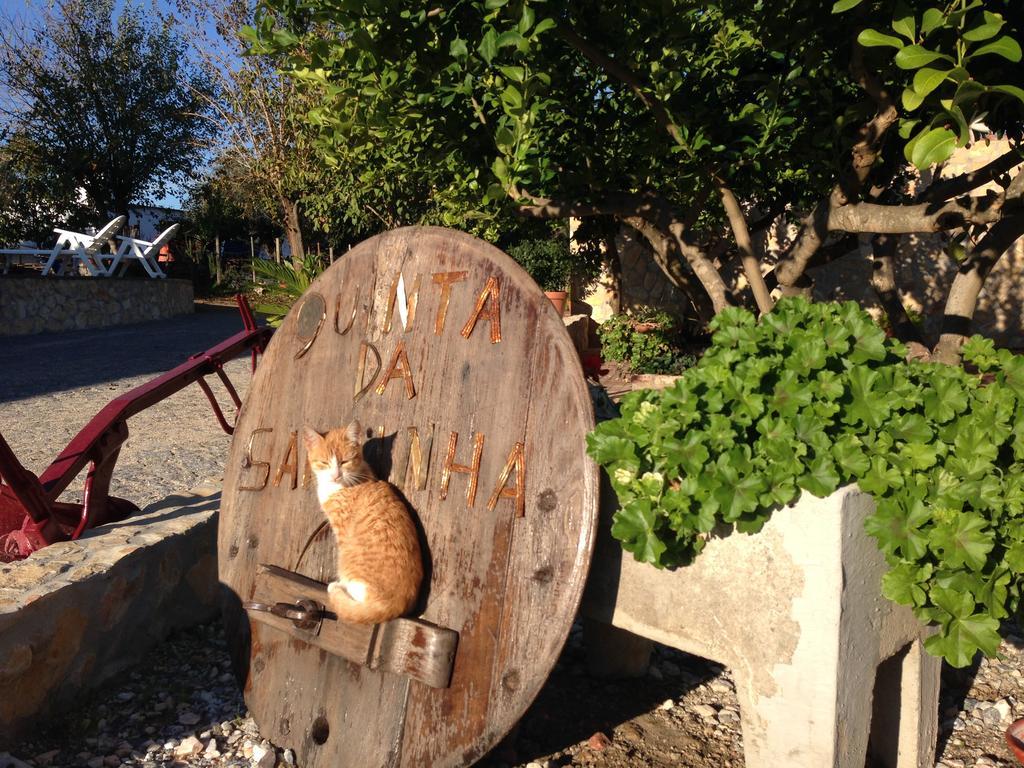 Вилла Quinta Da Sardinha Элваш Экстерьер фото